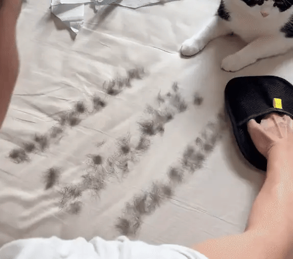 Pet Hair Removing Glove by Accestory
